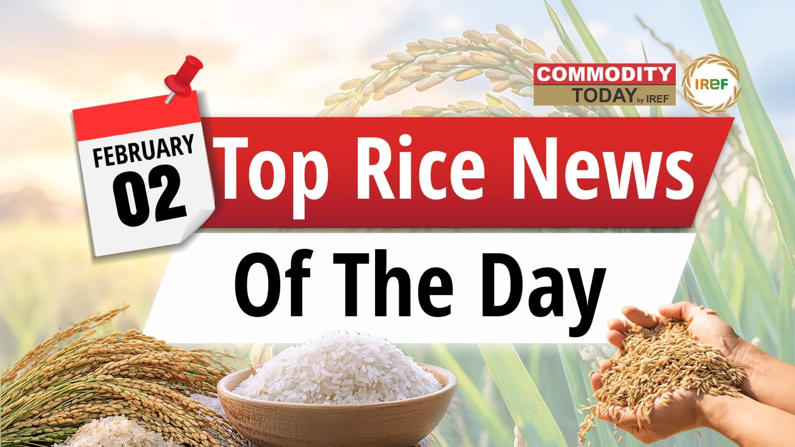 Vietnamese Rice Exports Resume, Experts Call for Sector Restructuring Today's Top Rice News